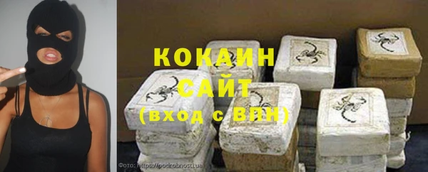 соль ск Абаза
