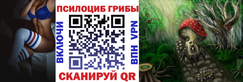 OMG маркетплейс  Богородицк  Псилоцибиновые грибы прущие грибы 