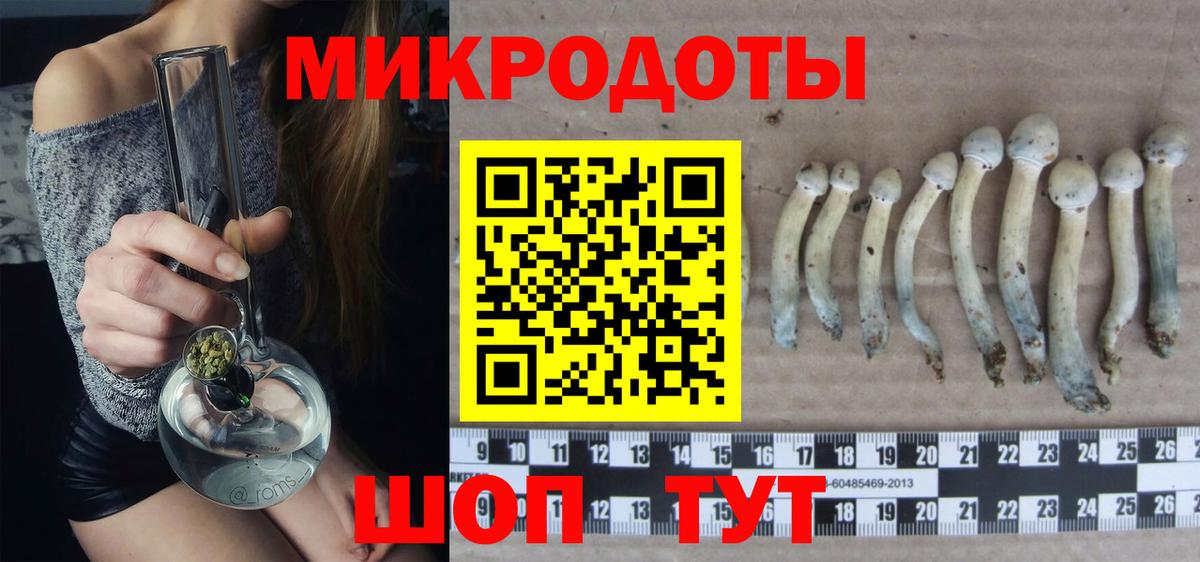 Богородицк  Галлюциногенные грибы GOLDEN TEACHER  Вход с VPN 