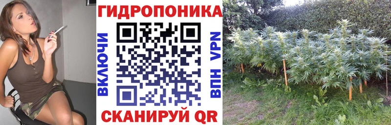 магазин    Богородицк  МАРИХУАНА THC 21% 